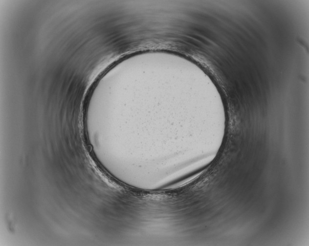 X0000102360894200808221713