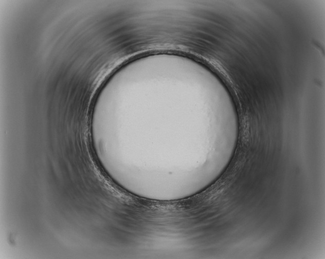 X0000102360895200808221713