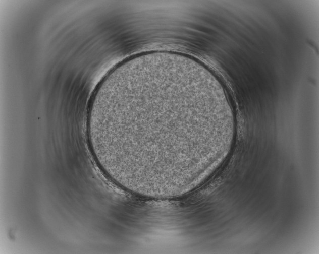 X0000102360896200808221713