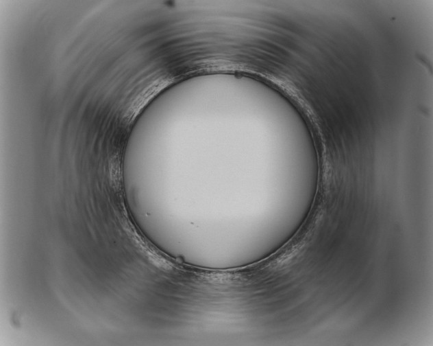 X0000102360897200808221713