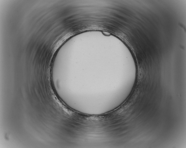 X0000102360898200808221713