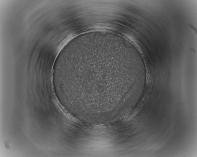 X0000102360899200808221713