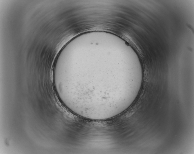 X0000102360900200808221713