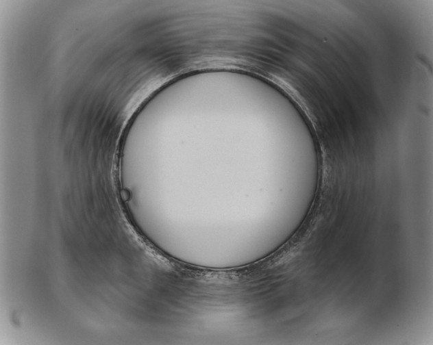 X0000102360901200808221713