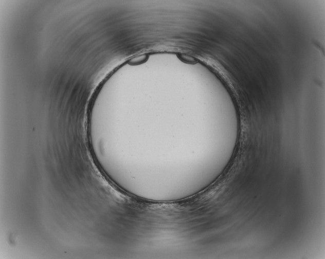 X0000102360902200808221713