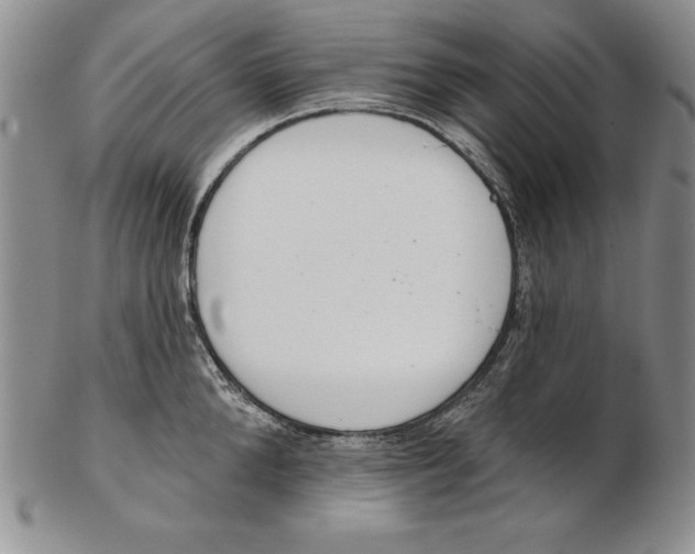 X0000102360904200808221713