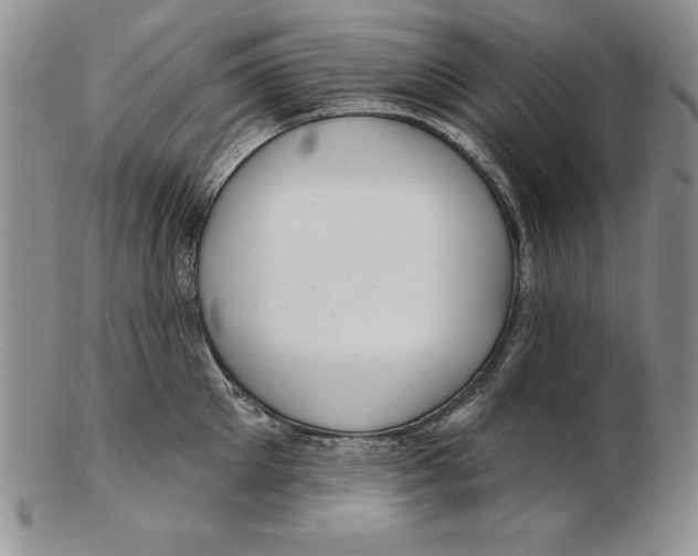 X0000102360905200808221713