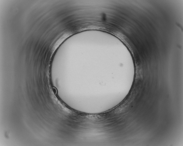 X0000102360906200808221713