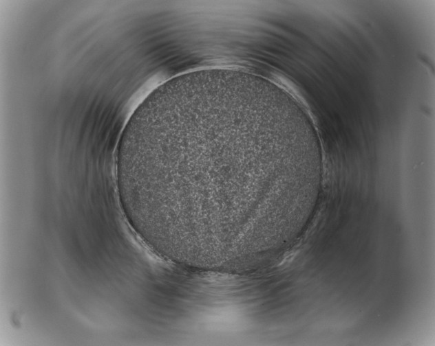 X0000102360907200808221713