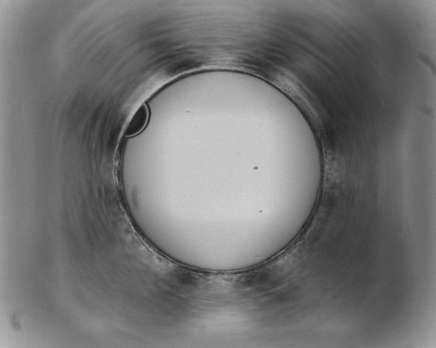 X0000102360908200808221713