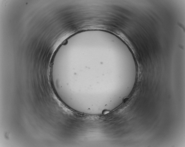 X0000102360909200808221713