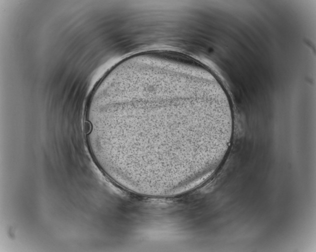 X0000102360910200808221713