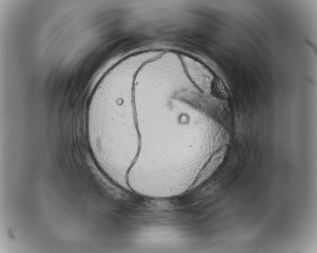 X0000102360911200808221713