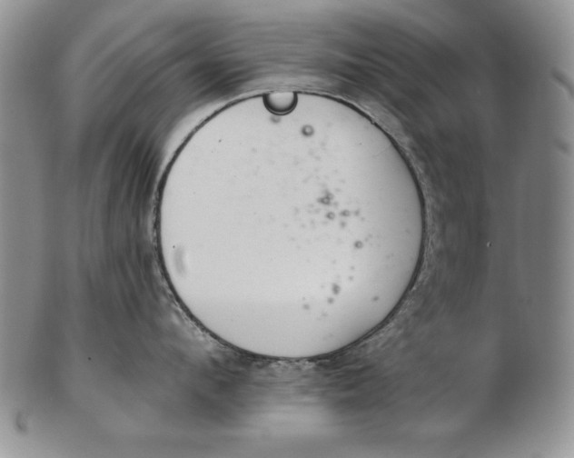 X0000102360912200808221713