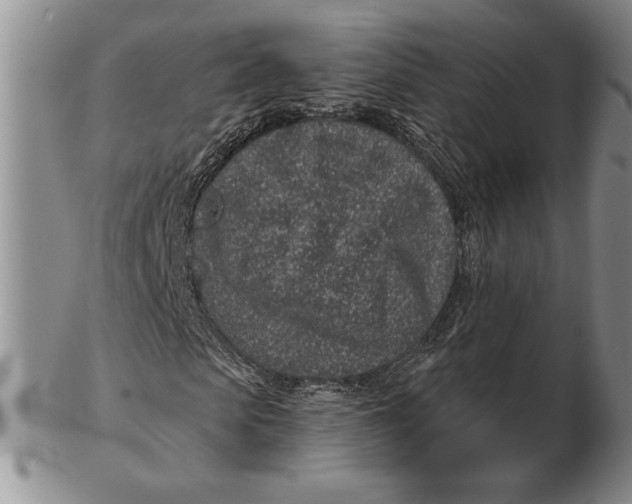 X0000102360913200808221712