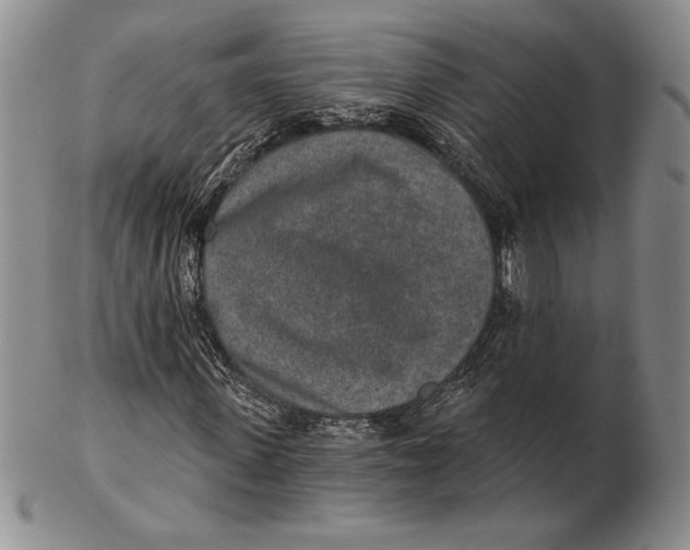 X0000102360915200808221712