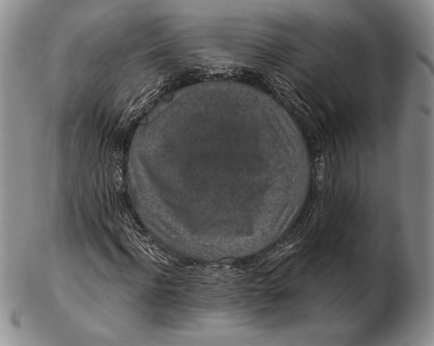 X0000102360916200808221712