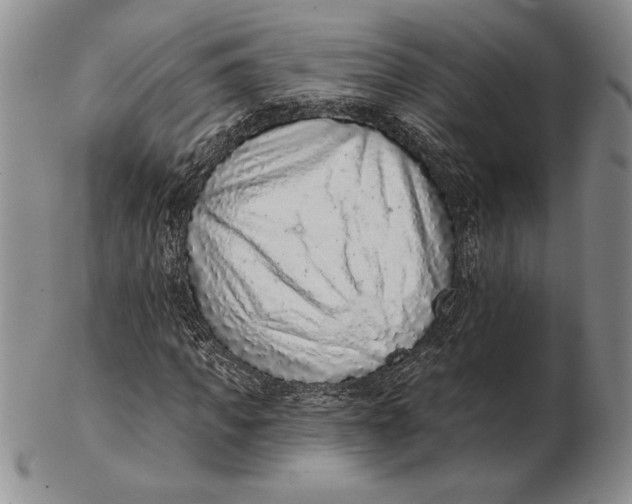 X0000102360917200808221712