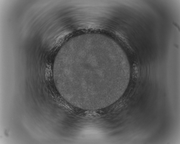 X0000102360918200808221712