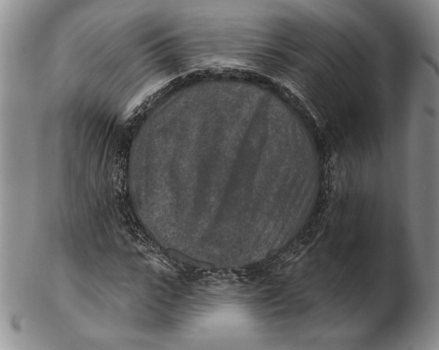 X0000102360919200808221712