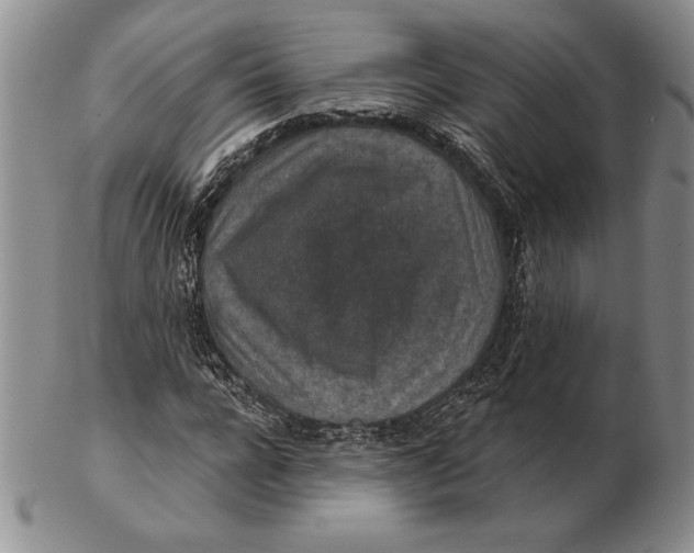 X0000102360920200808221712