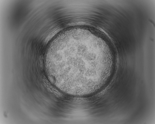 X0000102360921200808221712