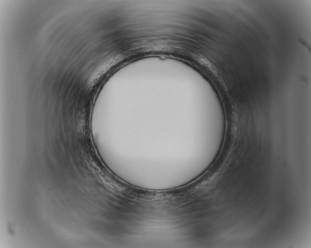 X0000102360922200808221712