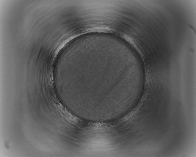 X0000102360923200808221712