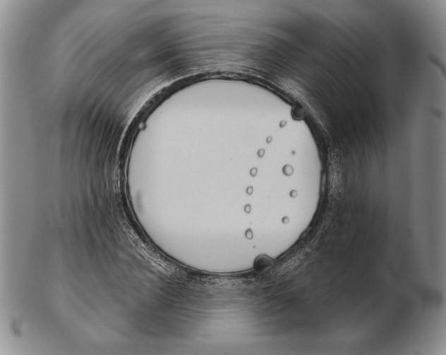 X0000102360924200808221712