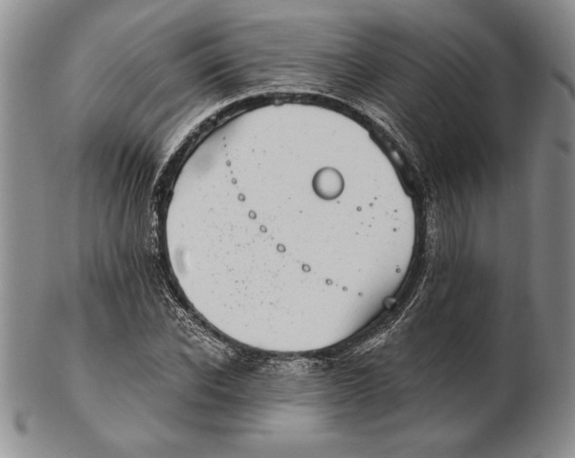 X0000102360926200808221712