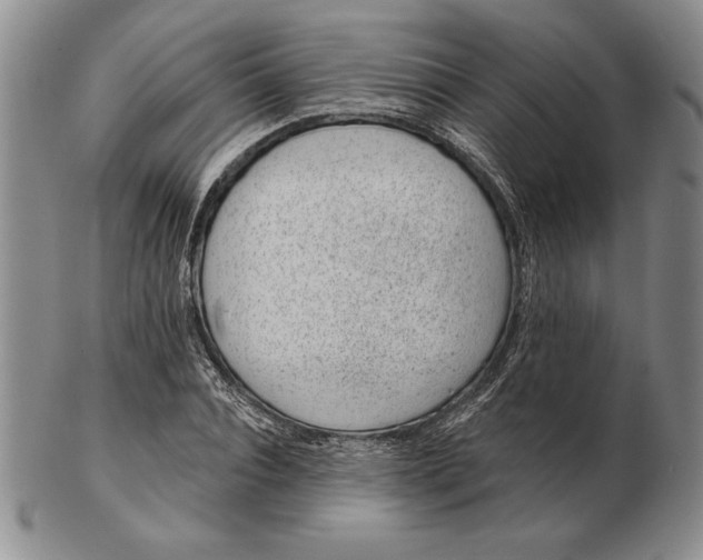 X0000102360928200808221712