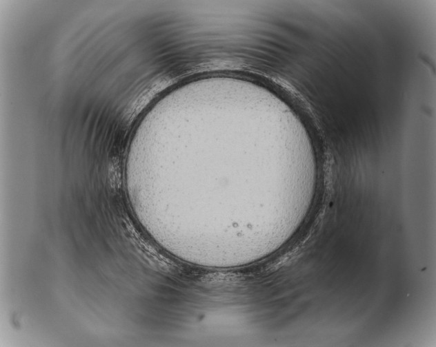 X0000102360929200808221712