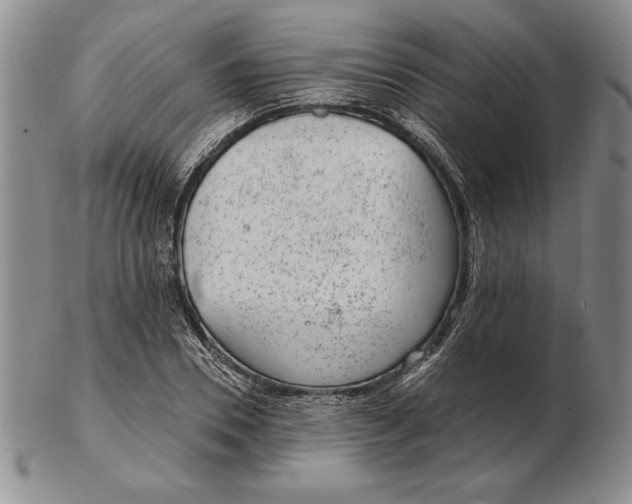 X0000102360930200808221712