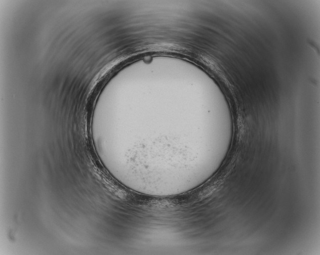 X0000102360931200808221712