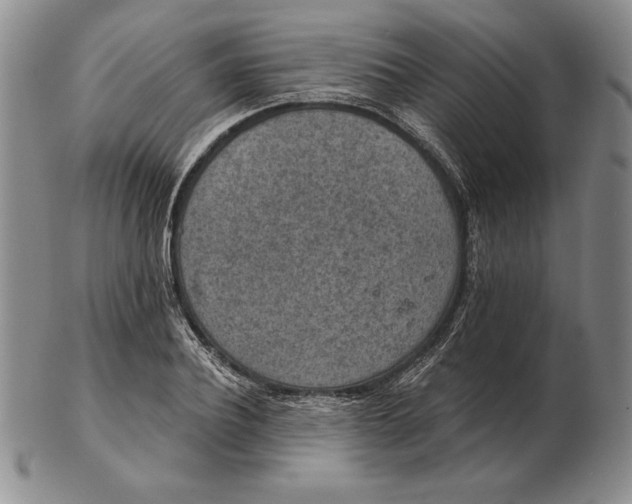 X0000102360932200808221712