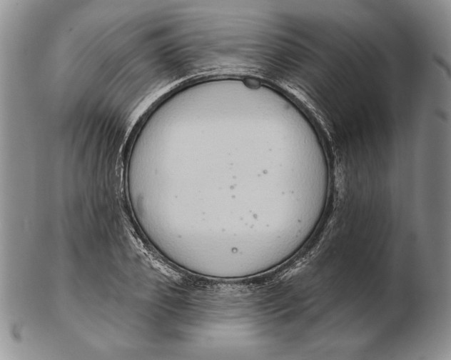 X0000102360933200808221712