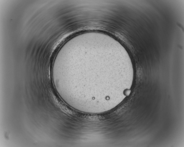 X0000102360934200808221712