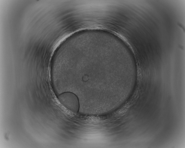 X0000102360935200808221712