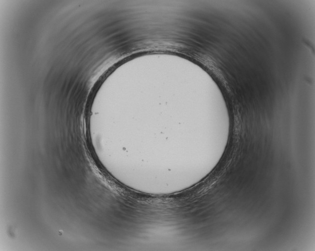 X0000102360936200808221712