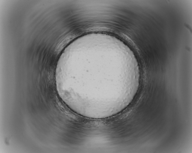 X0000102360937200808221712