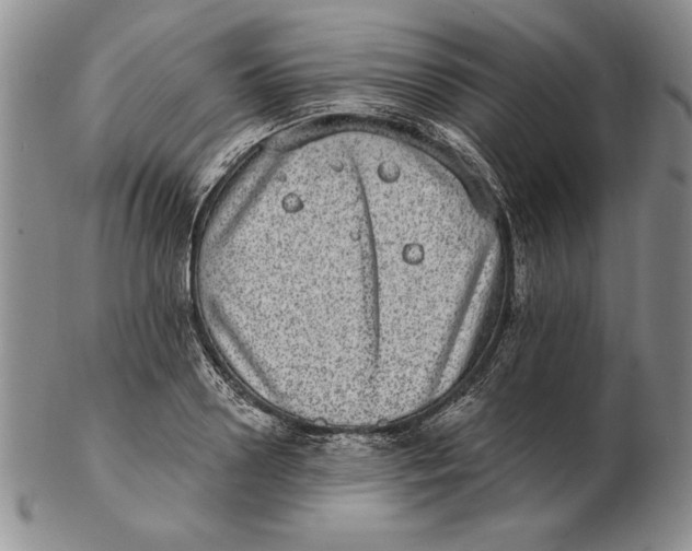 X0000102360938200808221713