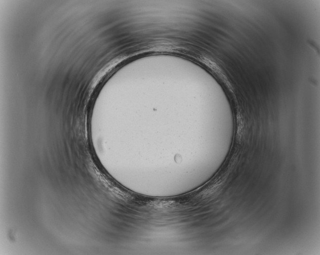 X0000102360939200808221713