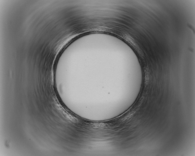 X0000102360940200808221713