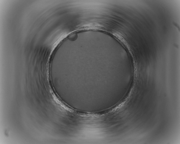 X0000102360941200808221713