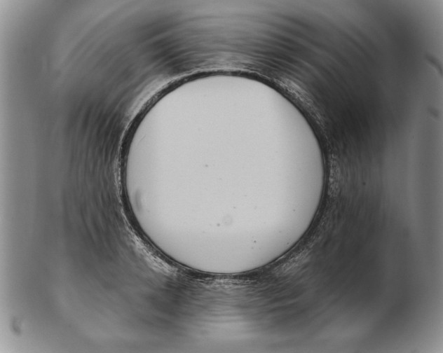 X0000102360942200808221713