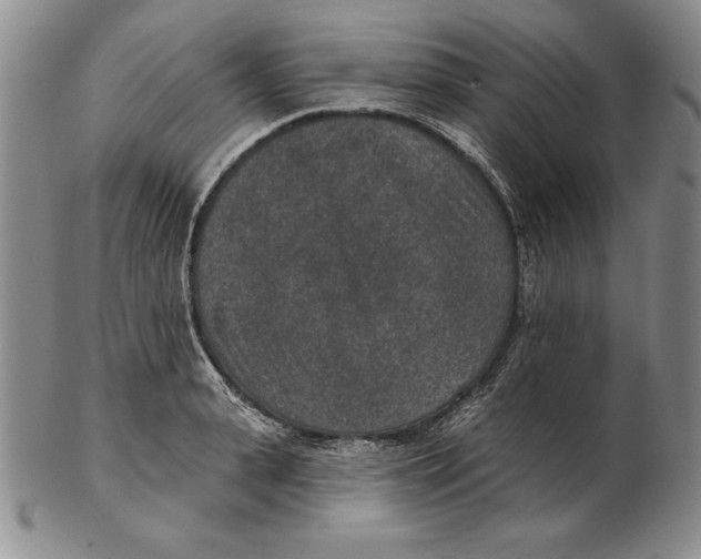 X0000102360943200808221713