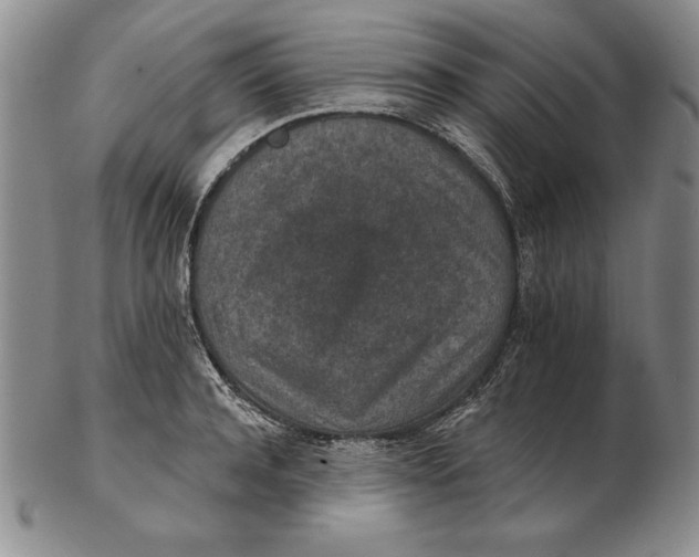 X0000102360944200808221713