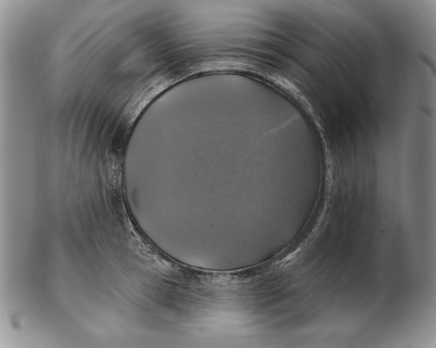 X0000102360945200808221713