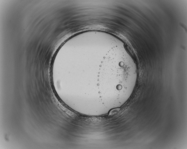 X0000102360947200808221713