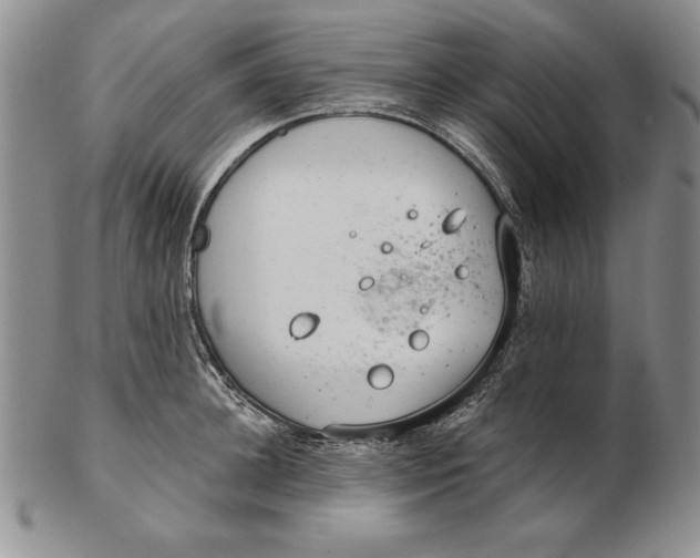 X0000102360948200808221713